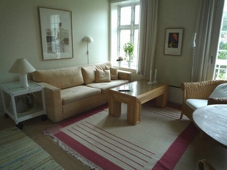Stue 1. sal m. sovesofa